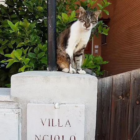 Ngiolò 3*